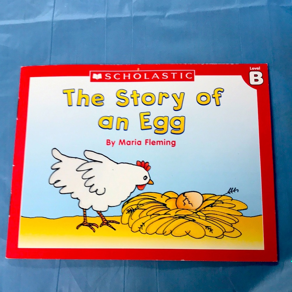 “The Story of an Egg” Maria Fleming kids book